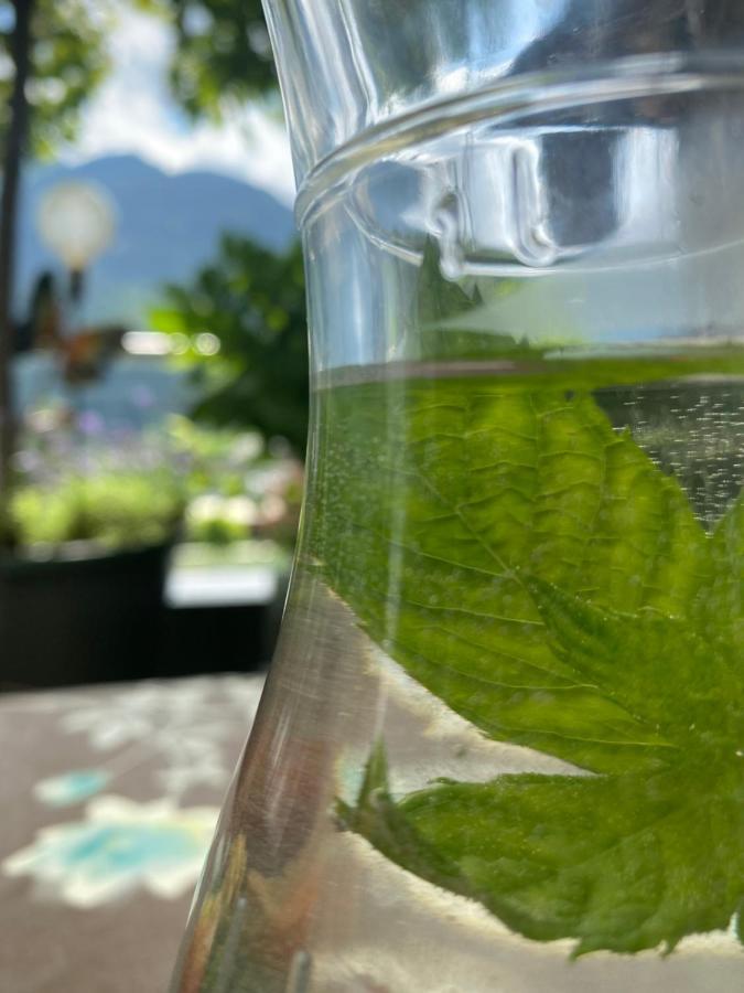 Hotel Garni Pinzgau, Bernd Huttl Neukirchen am Großvenediger Dış mekan fotoğraf